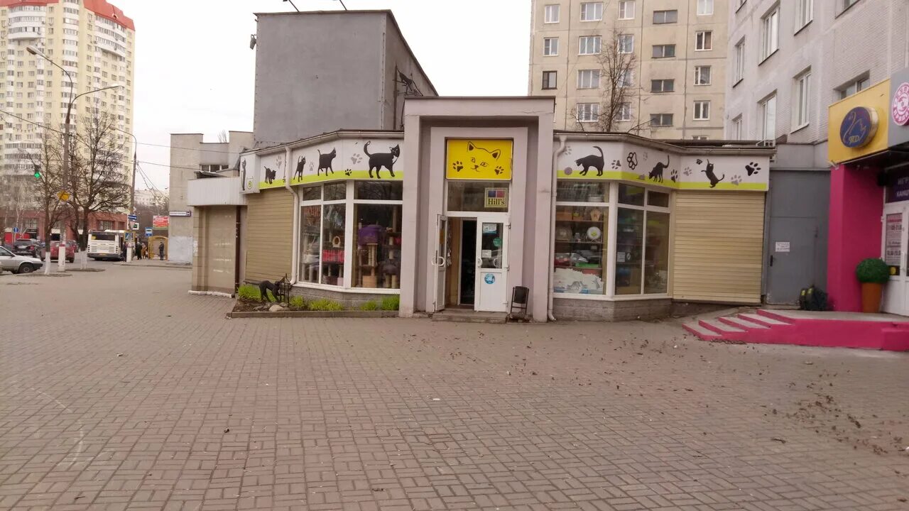 Королева 22. Королёв проспект королёва 22. проспект королева 22 г.королев. зоомагазин королев проспект королева 22. королев ул королева 22.