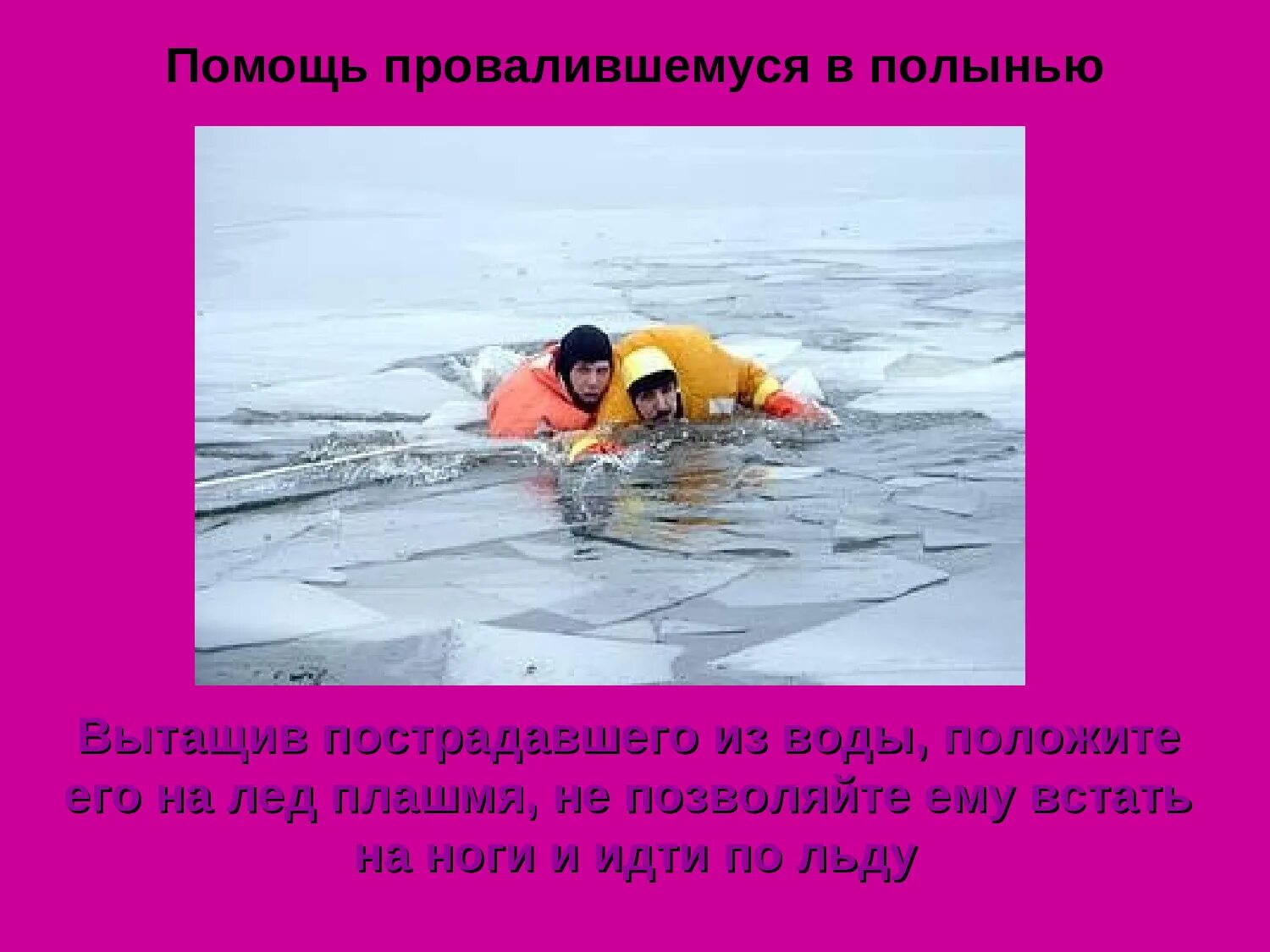 шла по льду свинья ей попалась полынья. свинья в полынье. шла по льду свинья ей попалась полынья. шла весной по льду свинья ей попалась полынья. шла весной по льду свинья падежи.