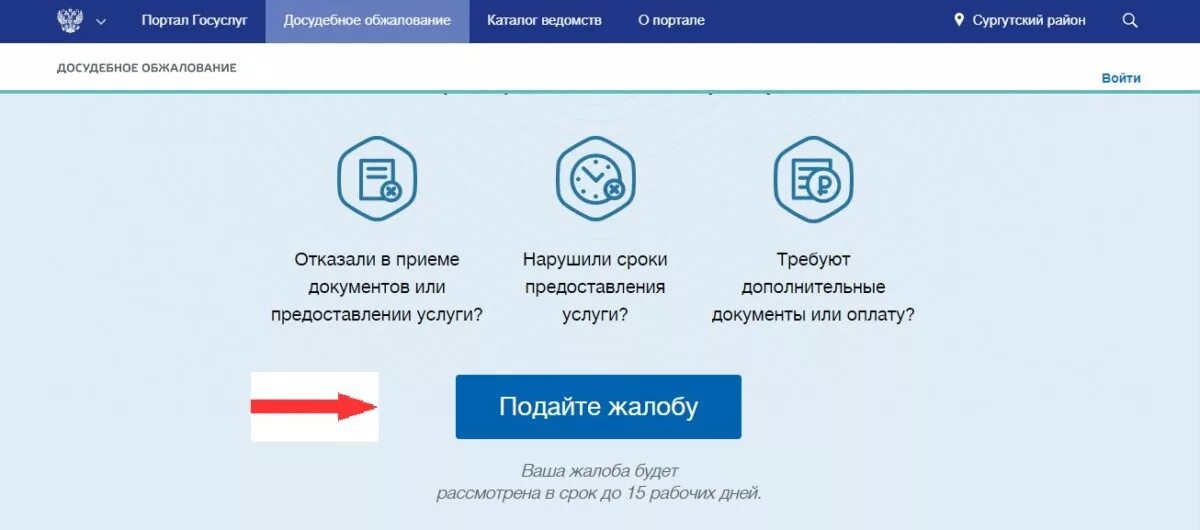 Жалоба на сфр на госуслугах. Как написать жалобу на госуслугах. Жалоба на госуслугах. Подача жалобы через госуслуги. Досудебное обжалование госуслуги.