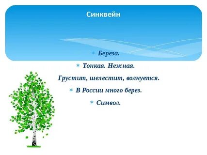 Синквейн о березе