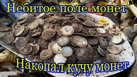 Поле монеты