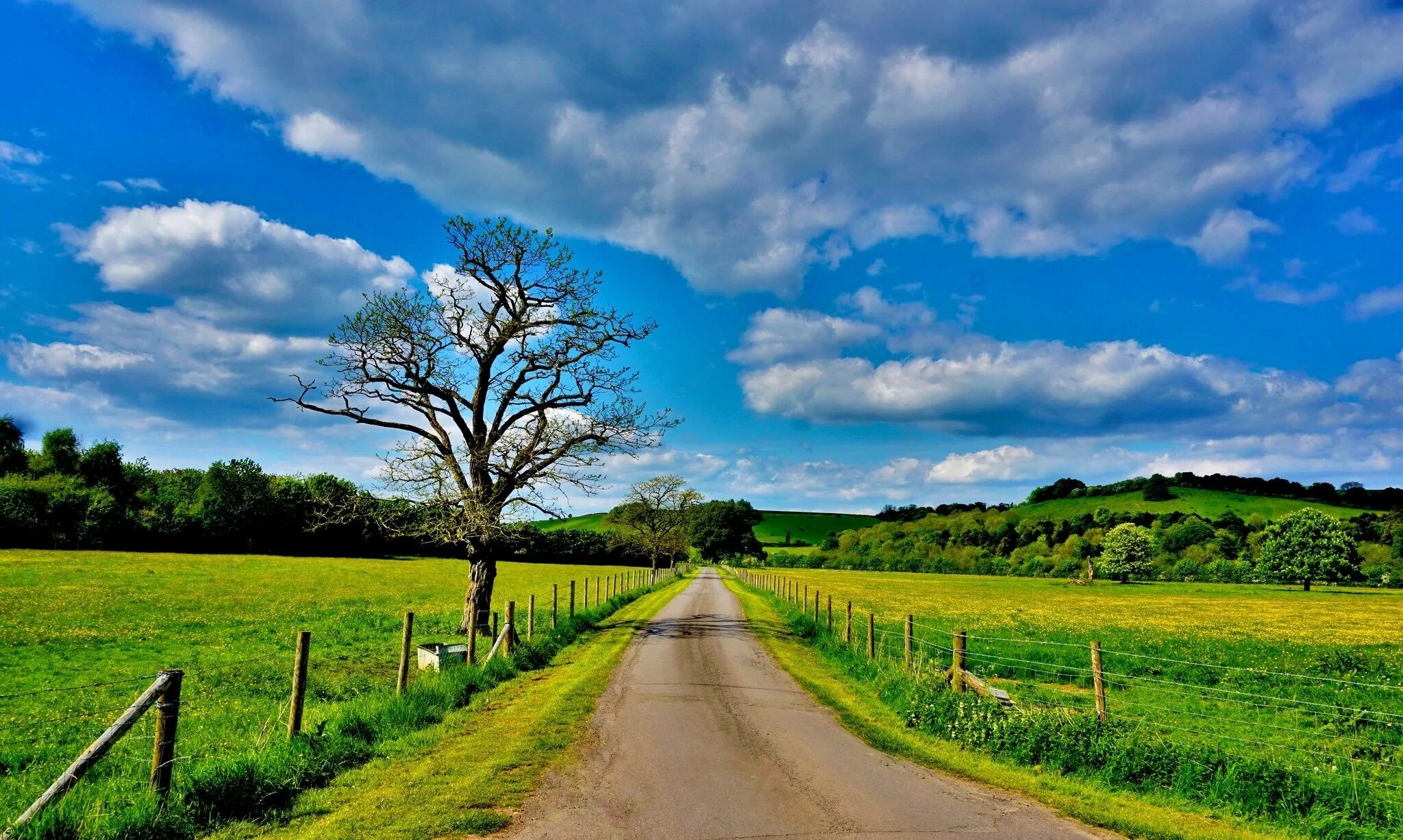 Природа владимирской области. Ясное поле. Ясное поле. Маковое поле в полесском районе калининградской области. В поле.