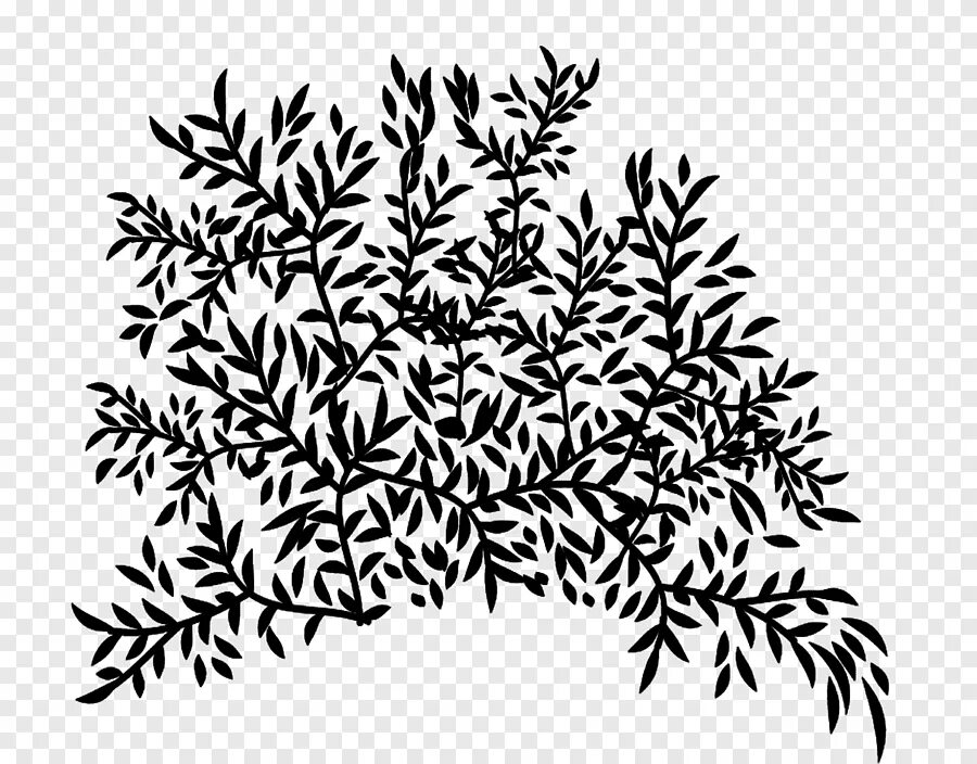 Simple vine