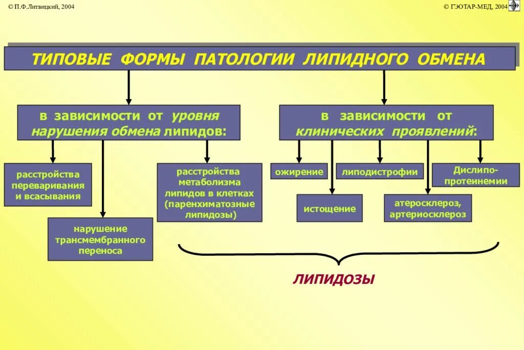 Заболевания жирового обмена. Типовые формы патологии липидного обмена. Классификация нарушений липидного обмена. Патогенез нарушения липидного обмена. Типовые формы патологии клеток.