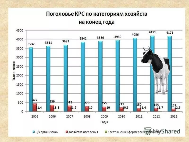 суточный рацион коровы на зимний период. голштинская порода коров характеристика. рацион для крс молочного направления в зимний период. голштинская порода крс мясная продуктивность. таблица измерения бычков живым весом.