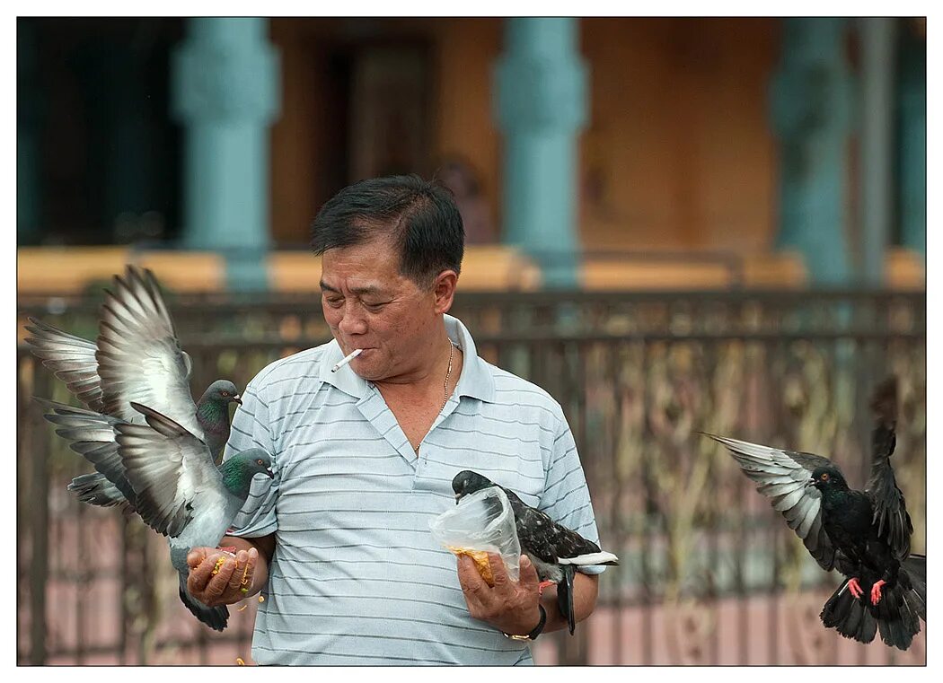 Кот мем. Ди каприо остров проклятых мем в хорошем качестве. Как выглядит как там. Как выглядит как там. Северные марианские острова девушки.