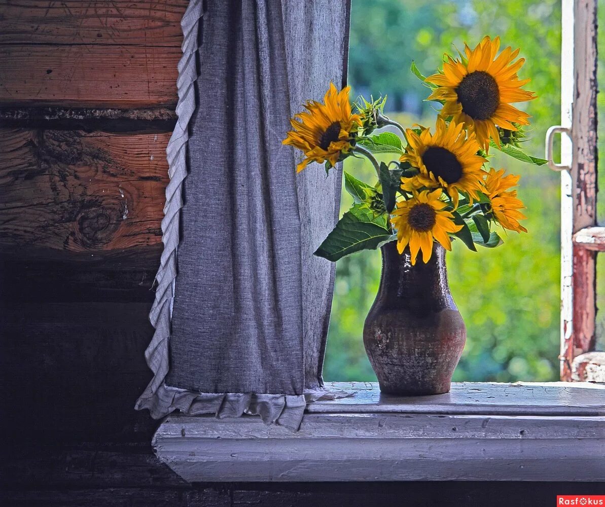 Натюрморт на окне. Настроение под вечер. Вечернее настроение. Грустная девушка. Девушка грустит.