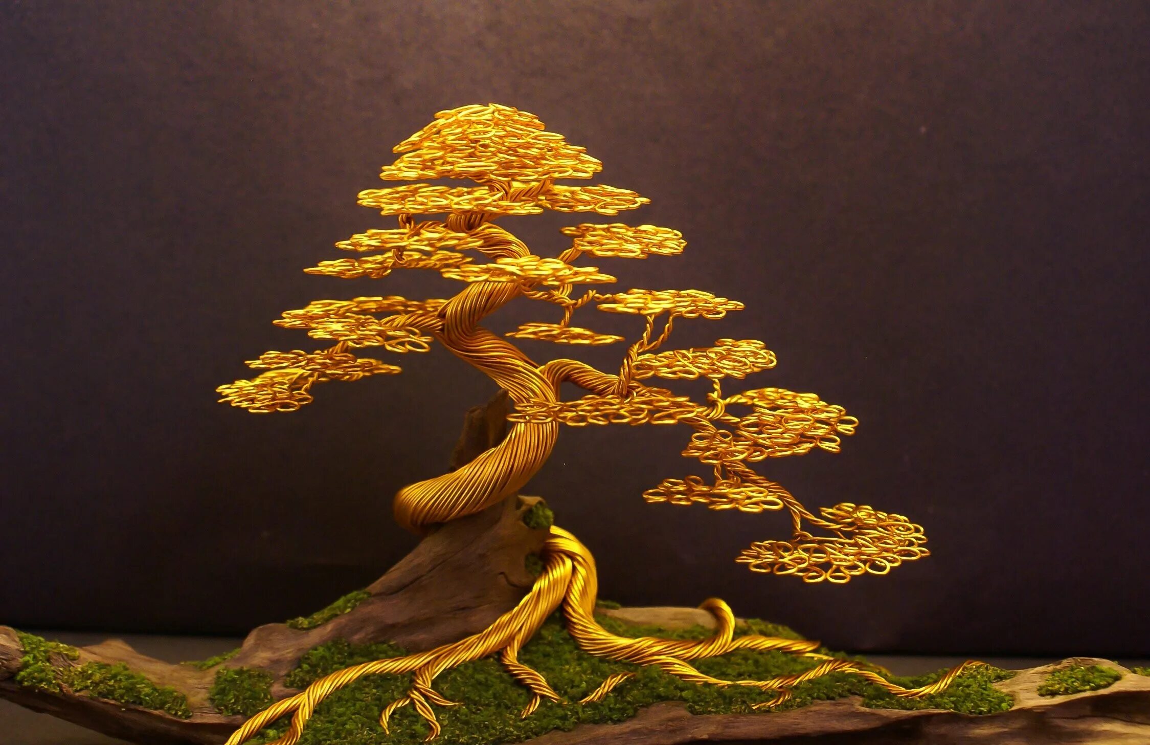 Золотое дерево золотая птица. Осина бонсай. Банзай золотой дерево. Бонсай Хан Кенгай. Золотой нанму дерево.