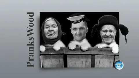 Шайка дурачков