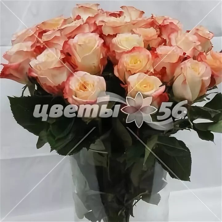 Цветы 56 оренбург. Цветы 56 оренбург