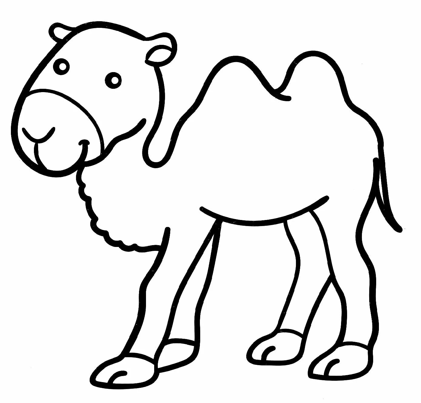 Верблюд раскраска для детей распечатать Camels Animal Cartoon Silhouette Concept Stock Vector Illustration of nature,