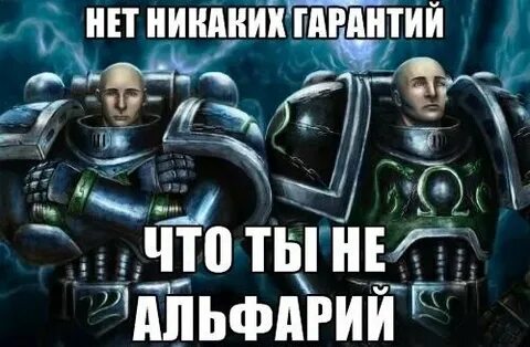 Альфа легион мемы