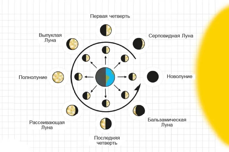 Фазы Луны схема. Бальзамическая фаза Луны. Схема смены фаз Луны. Фазы Луны изображение. Как влияет новолуние