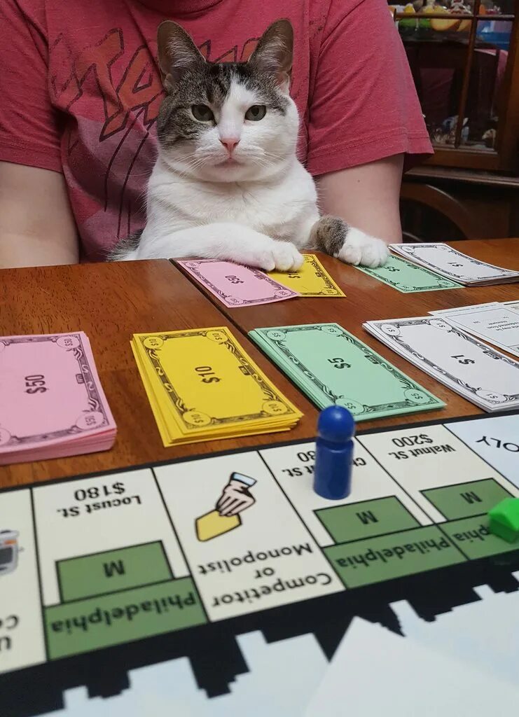 Casino cat official money cat fun. Кот играет в монополию. Коты играют в монополию. Монополия кошки деньги. Катс Партс.