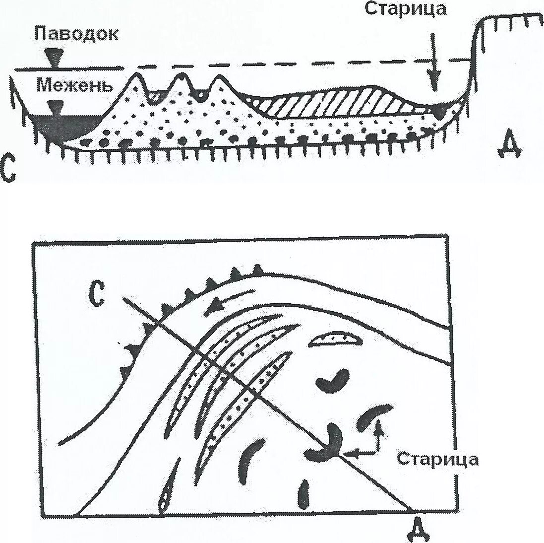 Период межени. Сегментная Пойма схема. Прирусловые валы схема. Сегментные Поймы. Элементы рельефа Поймы.