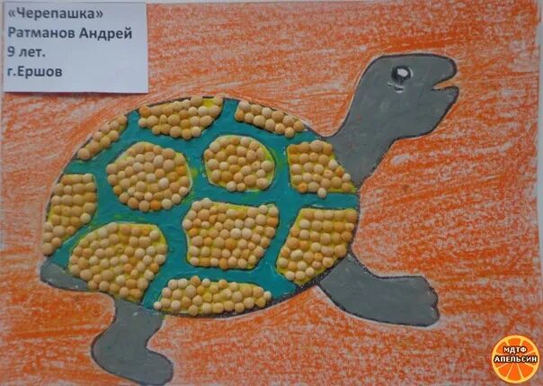 Черепаха средняя группа. Аппликация черепаха. Черепаха из пластилина и крупы. Черепашка из крупы в средней группе. Черепаха Пластилиновая аппликация.