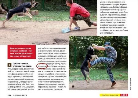 Самоз