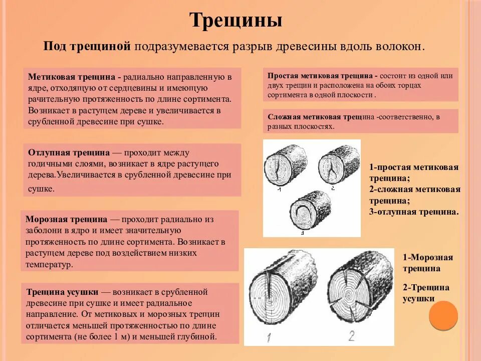 Значение трещина. Метиковая трещина древесины. Радиальные трещины древесины. Классификация трещин древесины. Пороки древесины трещины.