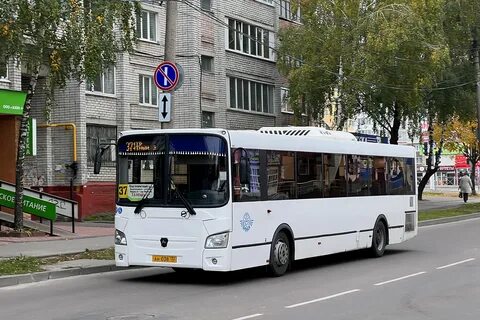 Маршрутка смоленск брянск