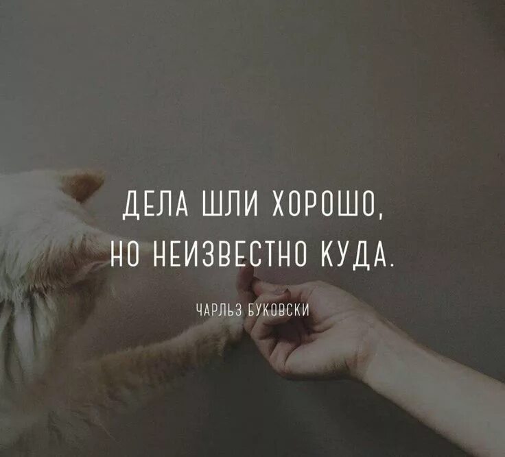У меня не идут дела. Дела шли хорошо но неизвестно куда. дела шли хорошо но неизвестно куда картинка. дела идут хорошо. все шло хорошо но неизвестно куда.