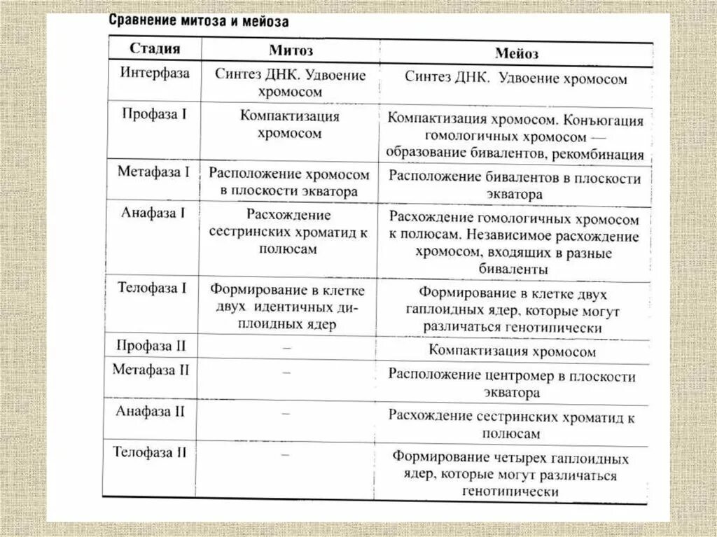 Сравнение митоза и мейоза таблица. Отличия митоза и мейоза таблица. Митоз и мейоз таблица параметры для сравнения. Сравнение митоза и мейоза таблица по фазам. Сравнительная характеристика фаз митоза и мейоза таблица.