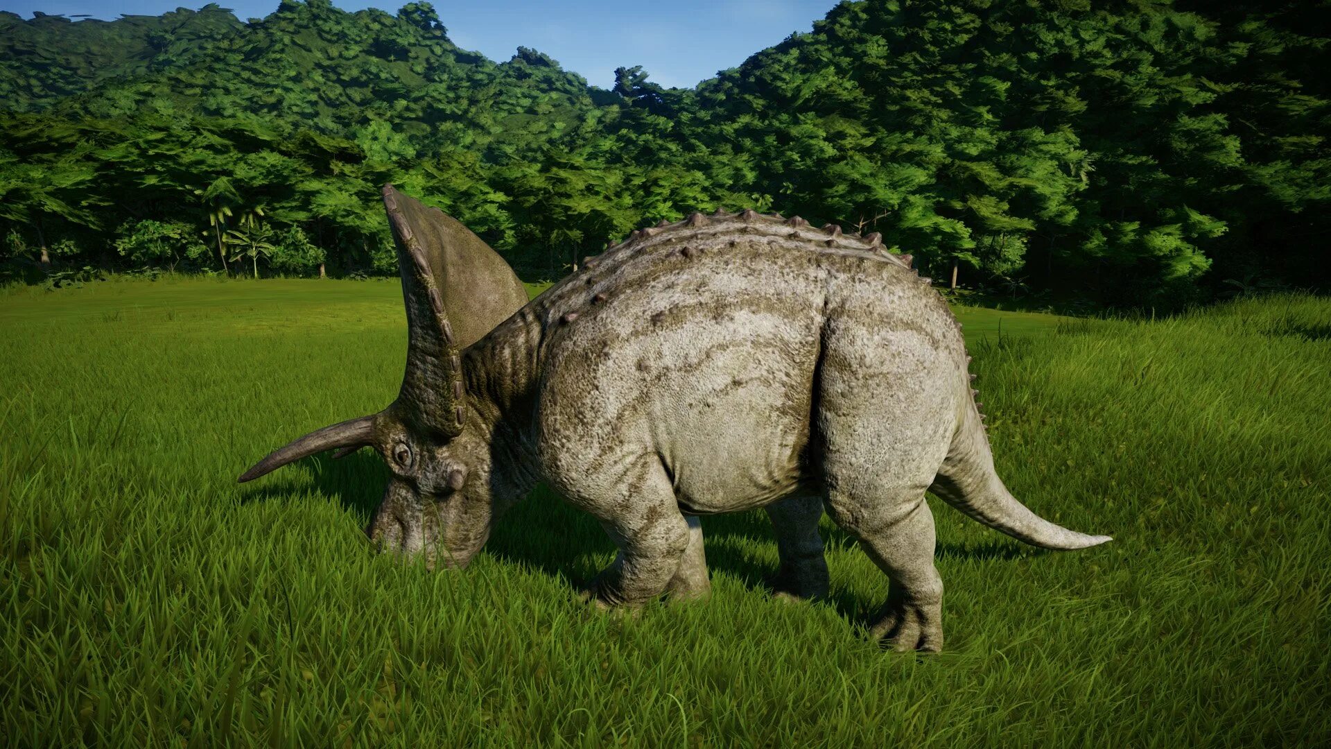 Трицератопс картинки. Травоядные динозавры Трицератопс. Jurassic World Evolution Торозавр. Трицератопс Атучин. Трицератопс питается.