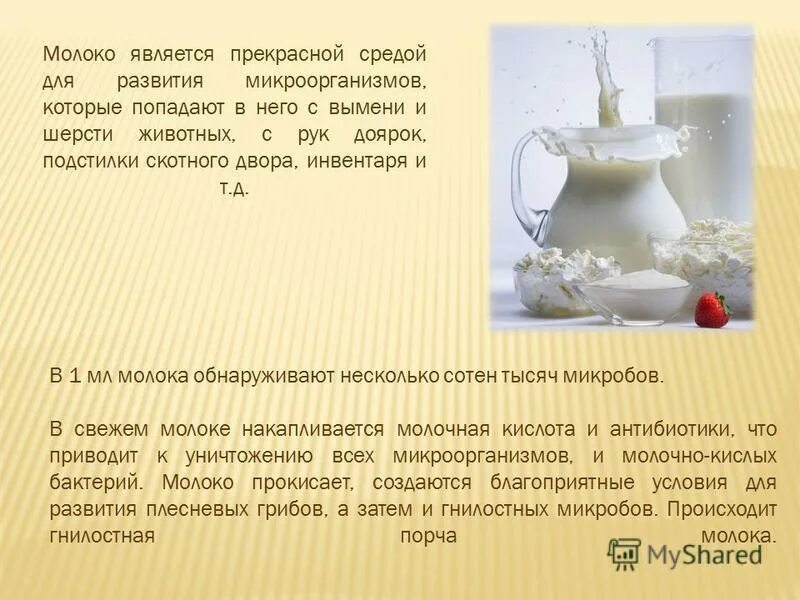 к физическим телам относится молоко