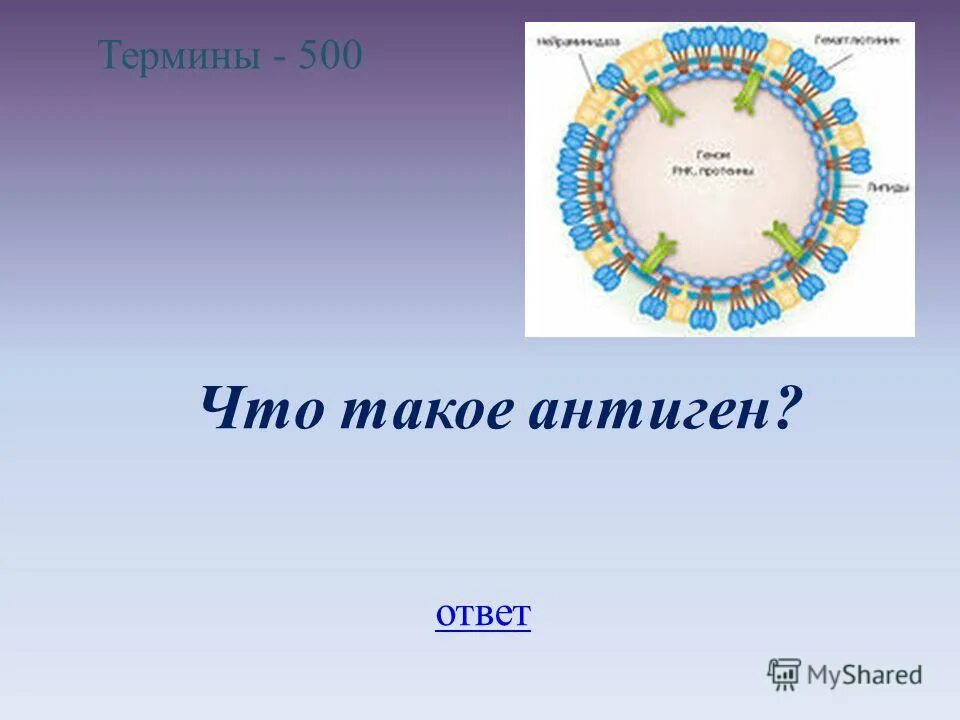 Что такое антиген. Антигены это в биологии 8 класс. антигенный тест.