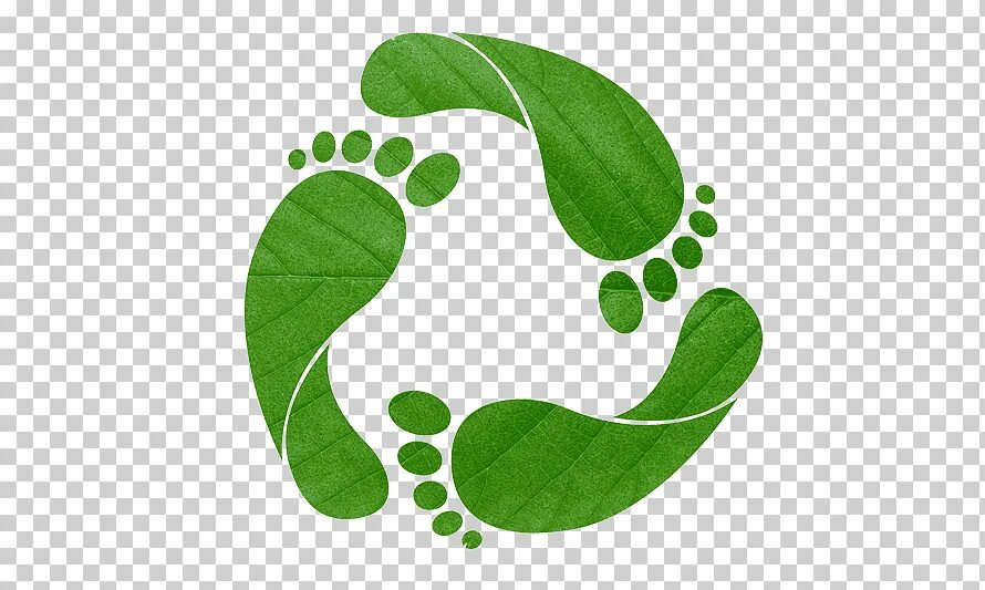 Ecological footprint. Символ экологии. Ecology footprints. Ecological footprint. Green footprints.