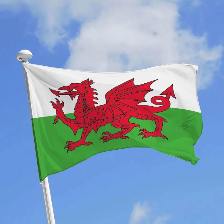 Флаг Уэльса. Княжество Уэльс флаг. Флаг Уэльса 1807 год. Альтернативный Уэльса флаг Уэльса.