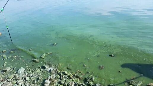 Дом на волге. Иваньковское водохранилище. Свердлово на волге. Деревня осиновка тверская область конаковский район. Свердлово рыбалка.