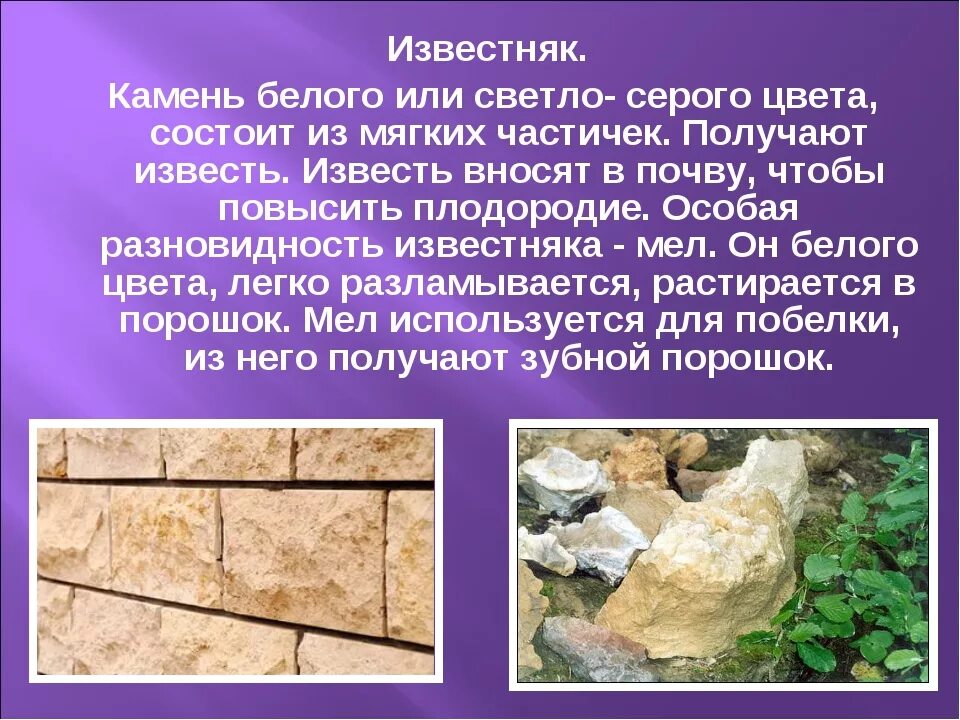 Известняк относится к породам. Известняк описание. Известняк камень описание. Информация о Камне известняк. Известняк краткое описание.