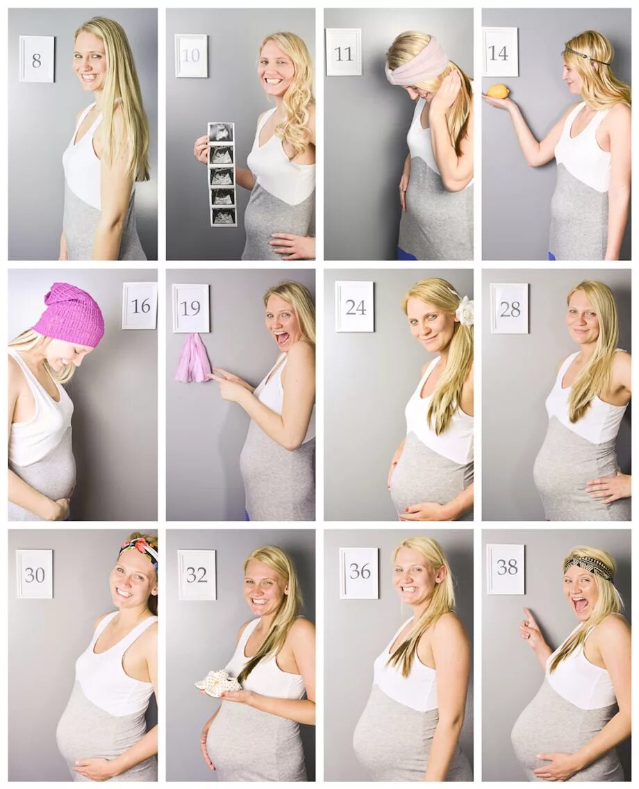 На какой недели делается. Фотосессия беременных. Фотосессия беременных идеи. Фотоколлаж беременности по месяцам. Фотосессия беременной по срокам.