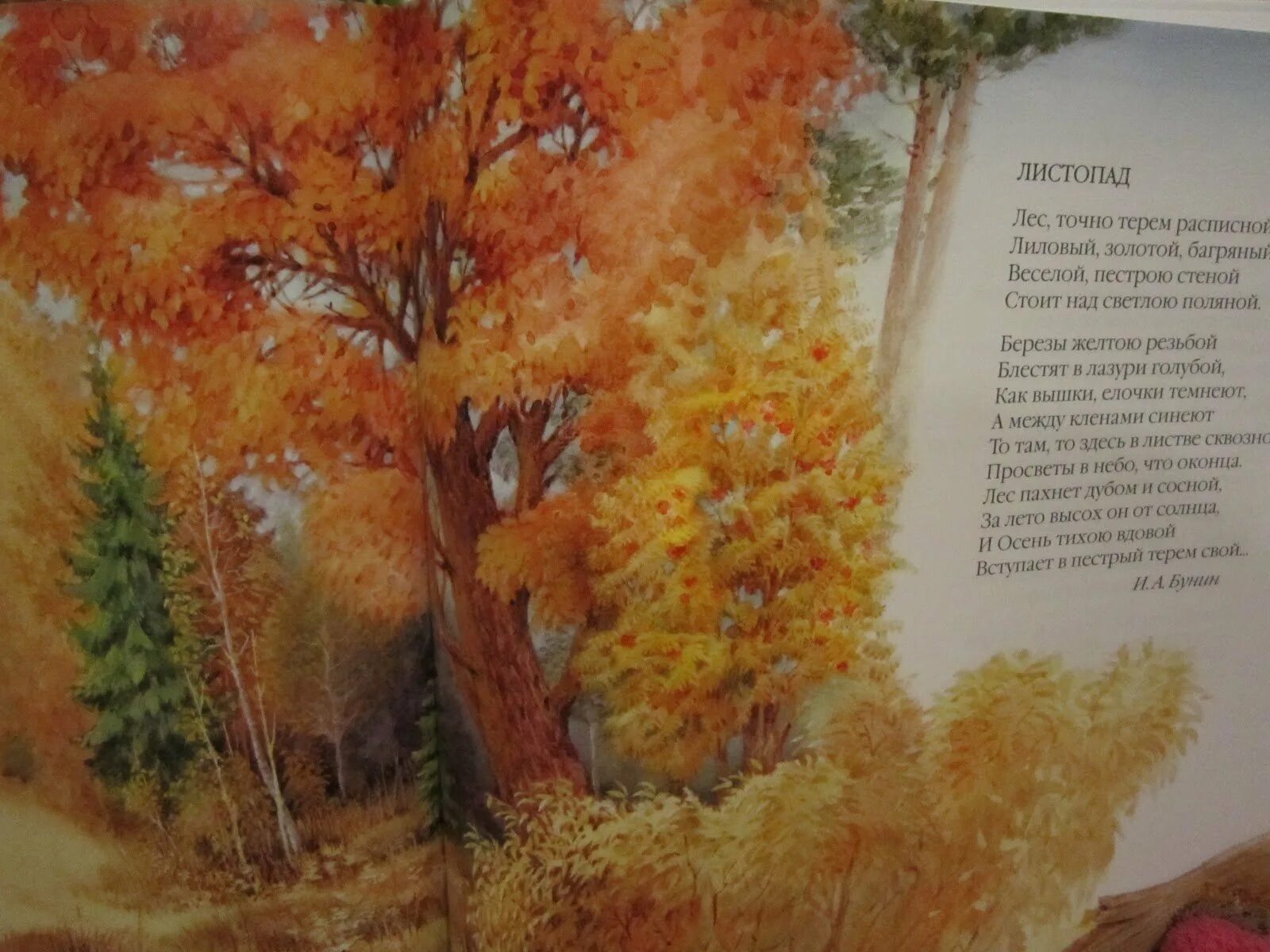 Бунин. Лес точно терем расписной автор бунин. Стоит стеною золотой. Стихотворение ивана бунина лес точно терем расписной. Пшеница на стене.