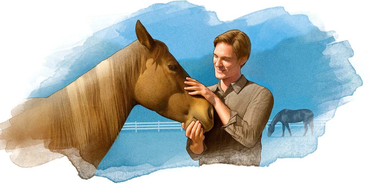 Человек гладит коня. Человек ведет лошадь. Гладит лошадь. Человек гладит лошадь.