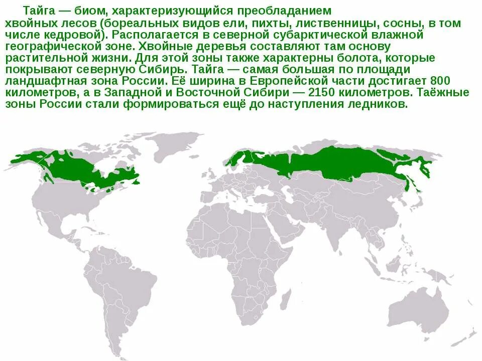 Географическое положение тайги в евразии