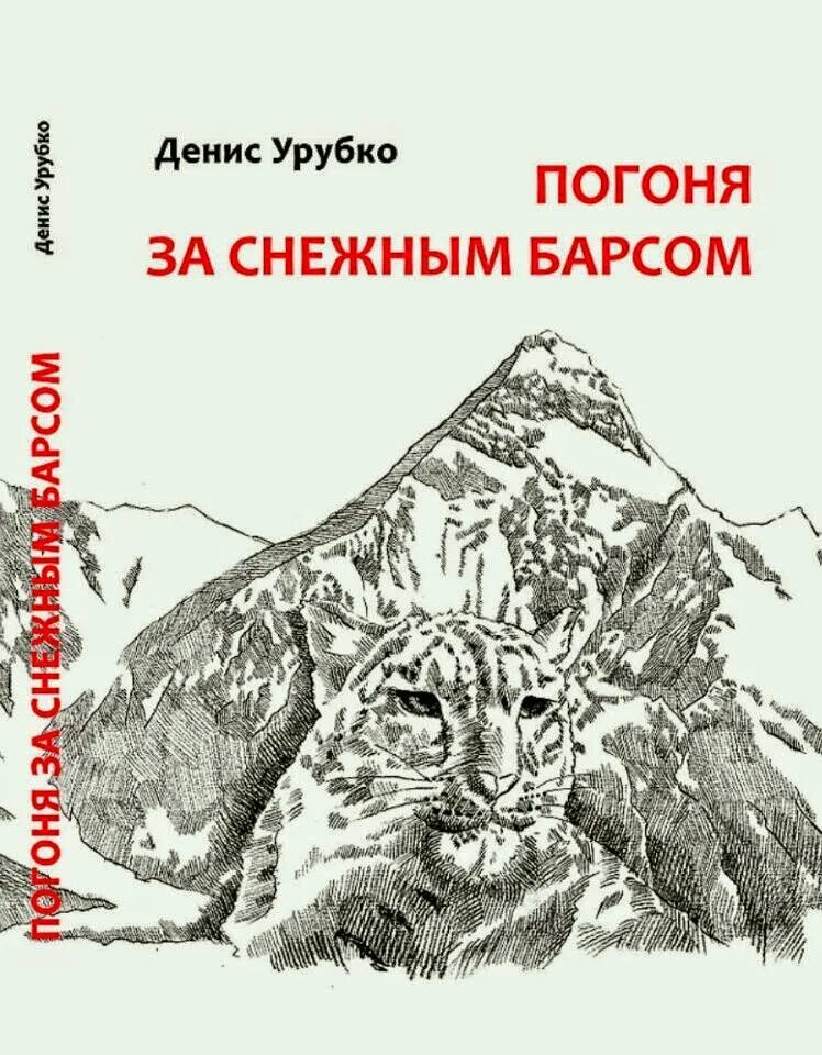 Снежный Барс книги для детей. Книги про снежных Барсов. Детские книги про снежного Барса. Ирбис книга. Книга россии снежный барс