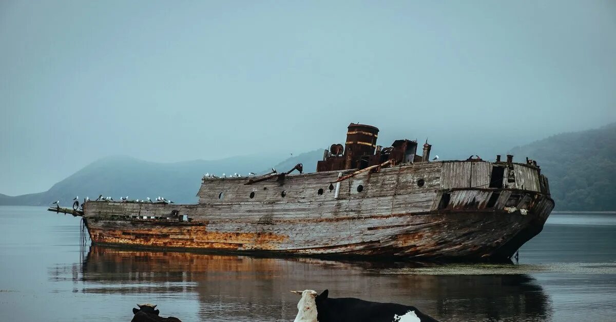 Хасанский суд приморского края. Полуостров Гамова бухта Витязь. Витязь Хасанский район Приморский край. Бухта Витязь Китобойная Приморский край. Бухта Витязь Хасанский район.