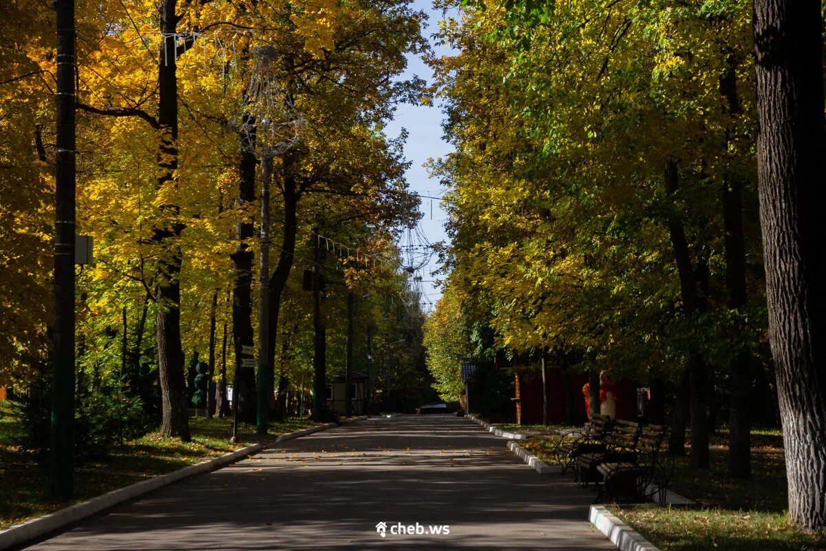 Лакреевский парк чебоксары. Лакреевский лес город Чебоксары. Осень Чебоксары Лакреевский лес. Лакреевский лес Чебоксары аттракционы.