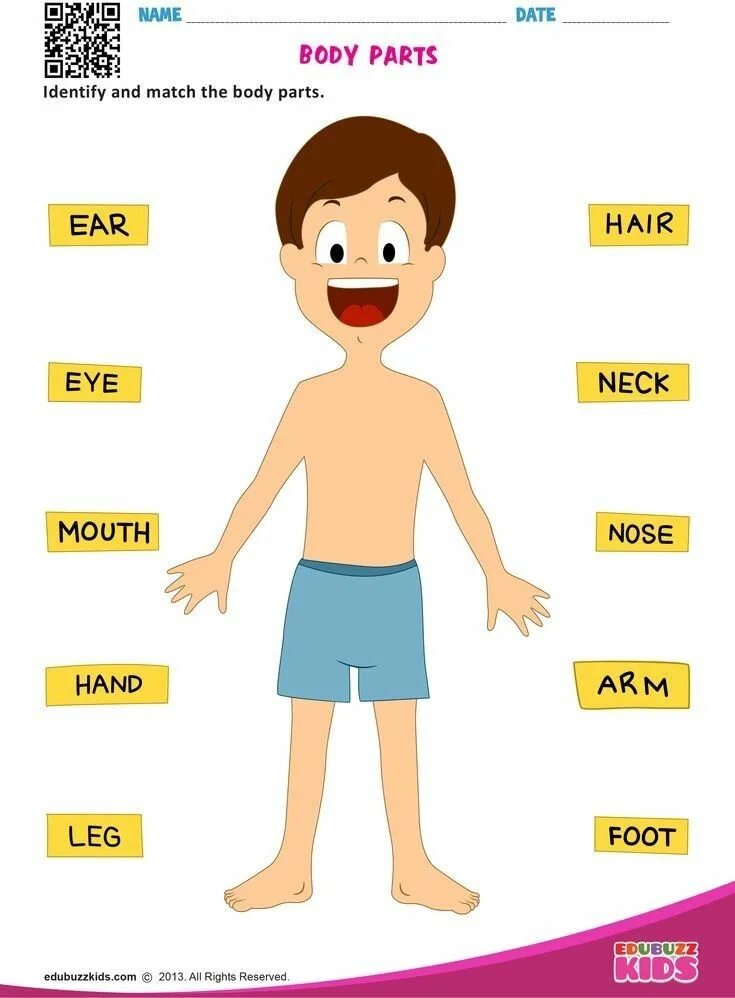 Lower part of the body. Body parts для детей. части тела человека для детей. части тела на английском для детей. тело на английском для детей.