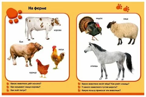 Какие имена коров