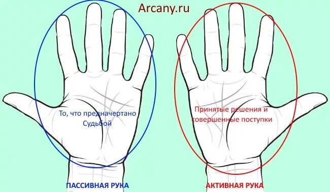 Хиромантия. Линии на руке. Хиромантия буква м на левой ладони. Линии на правой и левой руке. Левая рука становится правой