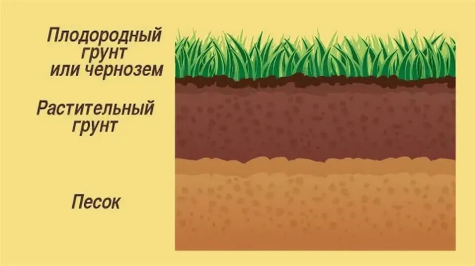 Плодородный слой грунта. Плодородный слой почвы. Растительный слой грунта. Плодородный слой земли рисунок. Наиболее плодородными почвами являются чернозем