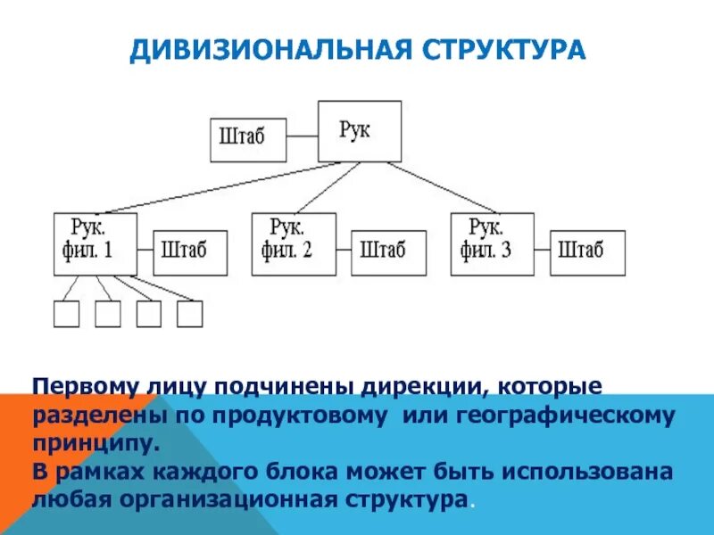 First structure. Дивизиональная. Дивизионно региональная структура. Географическая организационная структура. Дивизионально-географическая организационная структура.