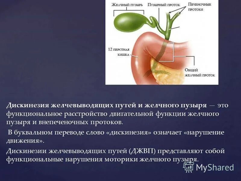 Желчный пузырь гомогенное что значит. Дискинезия желчного пузыря терапия. Билиарная дискинезия симптомы. Дискинезия желчного пузыря на УЗИ. УЗИ желчного пузыря при дискинезии желчевыводящих путей.