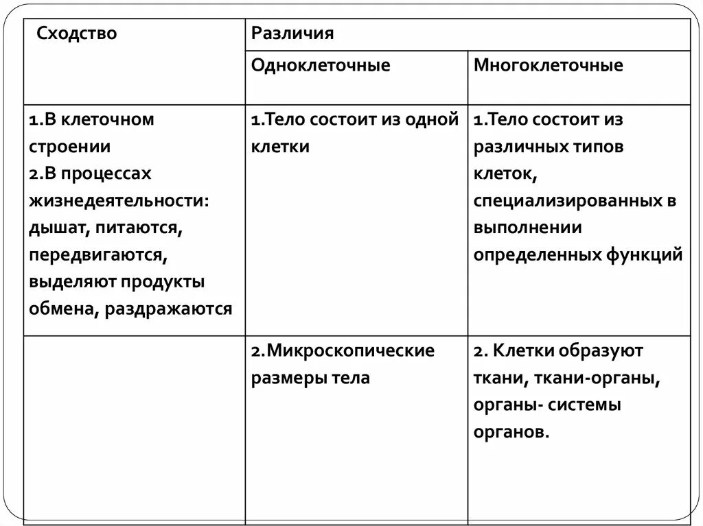 Различия в строении одноклеточных