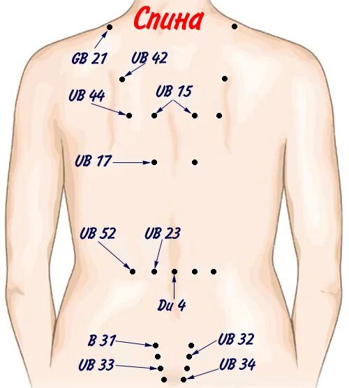 Точечный массаж спины. Точки на спине для массажа. Точки для точечного массажа на спине. Точки массажа натспине. Точки на спине для массажа человек.