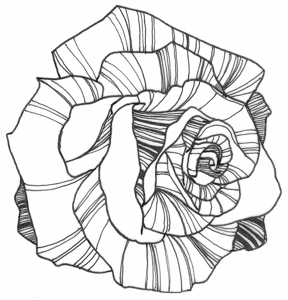 Стилизованные цветы. Цветы в графике. Стилизация розы. Стилизованные рисунки цветов.