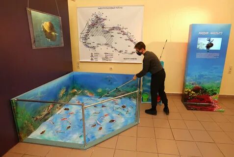 Тайны морских глубин кронштадт музей