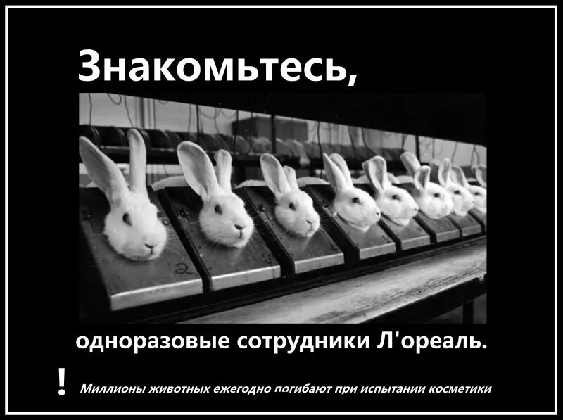 Тестируется ли на животных. Фирмы косметики,которые тестируются на животных. Тестируется ли на животных. Не тестируется на животных. Косметику тестируют на животных.